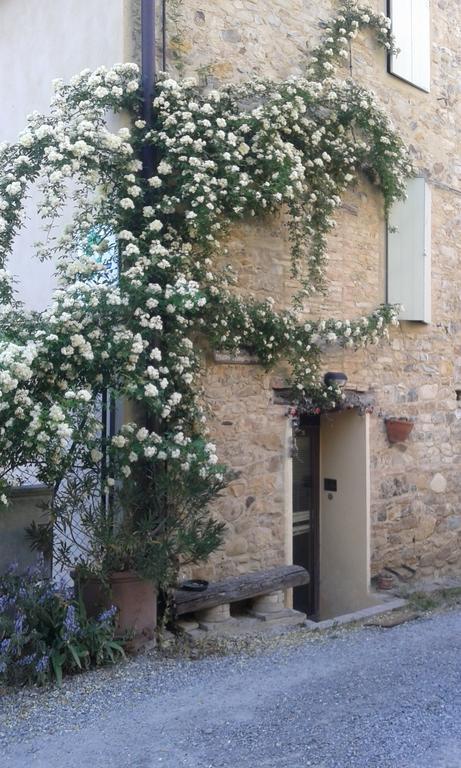 Agriturismo Il Gelso Traversetolo Extérieur photo