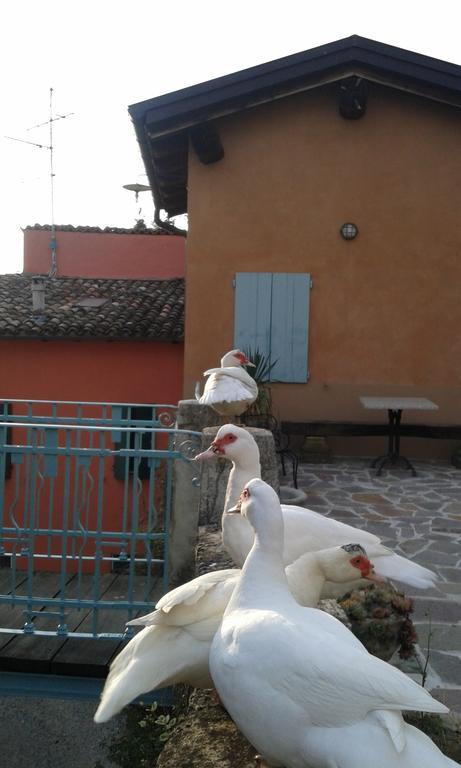 Agriturismo Il Gelso Traversetolo Extérieur photo
