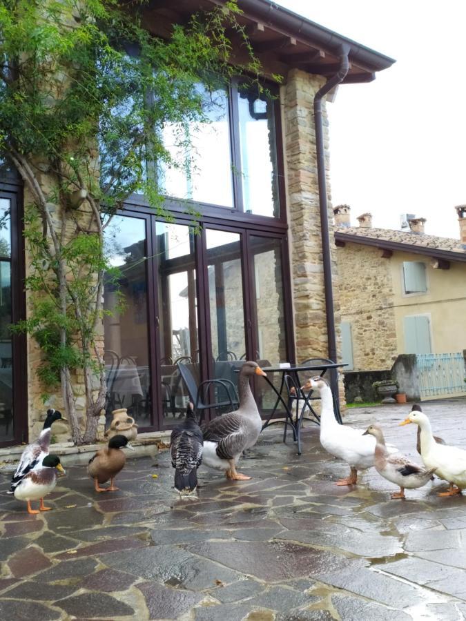 Agriturismo Il Gelso Traversetolo Extérieur photo